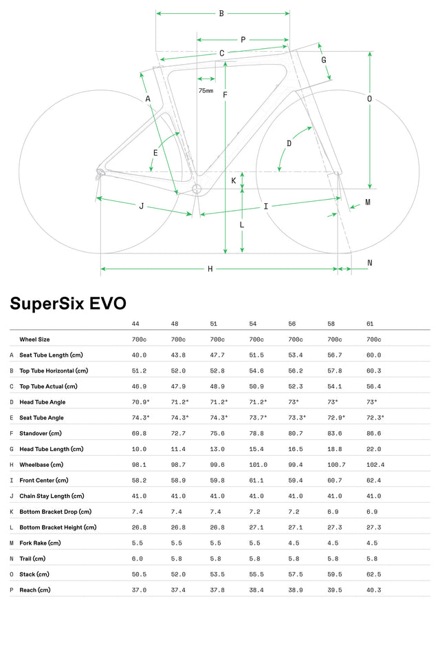 SuperSix EVO 1 Raw