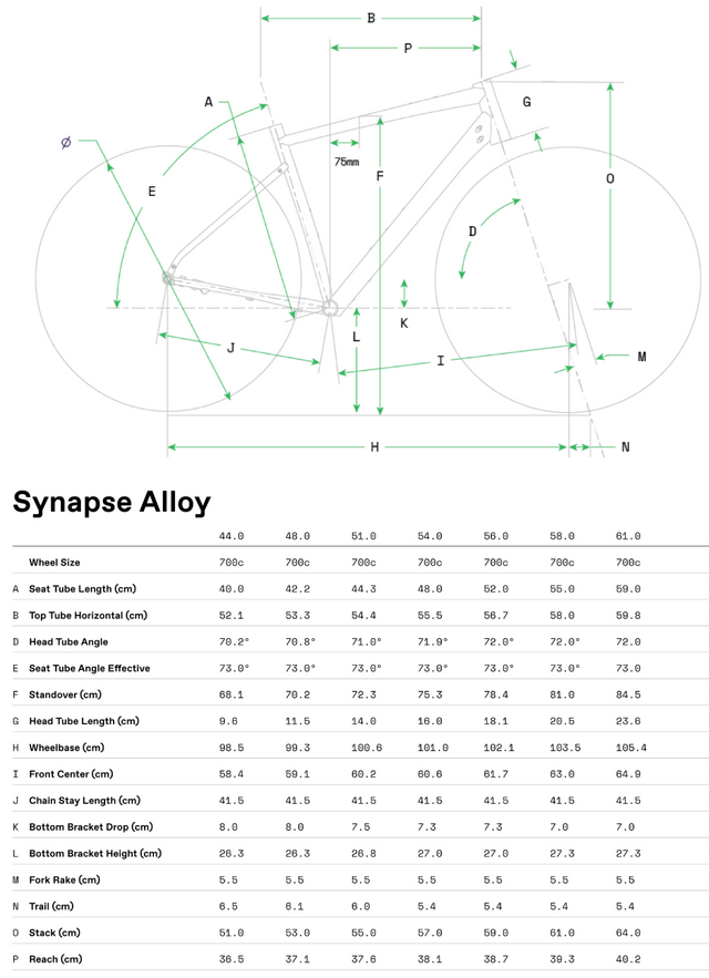 Synapse Aluminium 2
