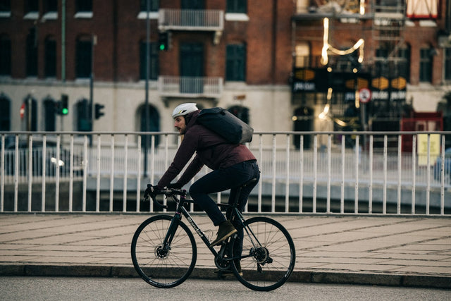 Apidura City Backpack (17L)