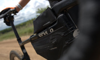 Frame Bags