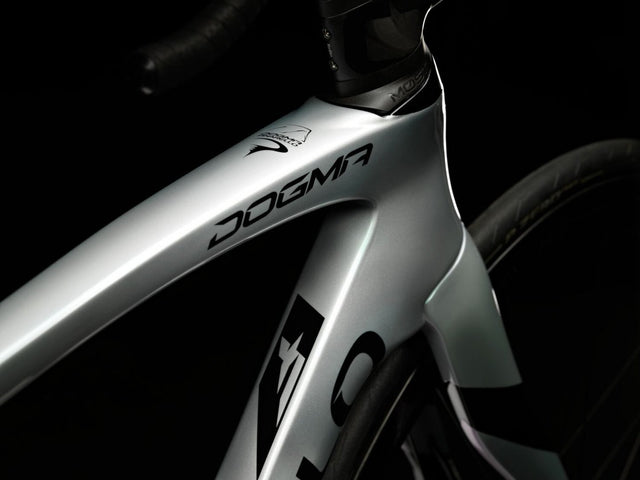DOGMA F SUPER RECORD WRL - SPEEDSTER SILVER | LIMITED EDITION |