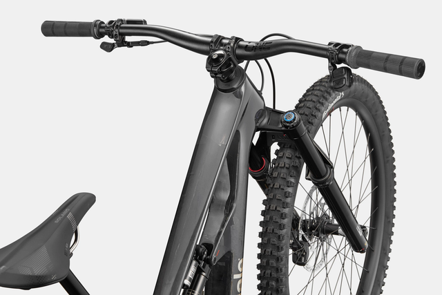 Cannondale Bad Habit 1 Raw