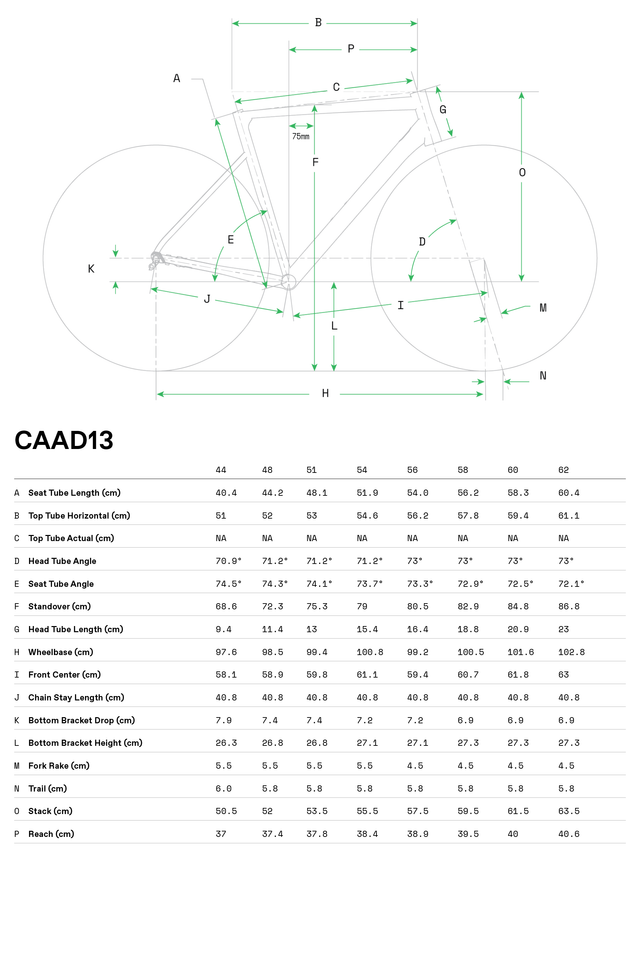 CAAD13 Disc 105