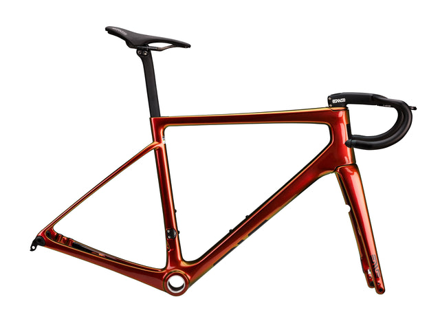 ENVE Melee Frameset Poison