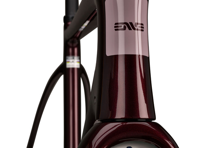 ENVE MOG Frameset Hollyhock Purple