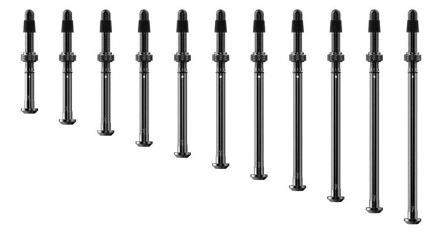 Quarq TyreWiz 2.0 Valve Stem Pack