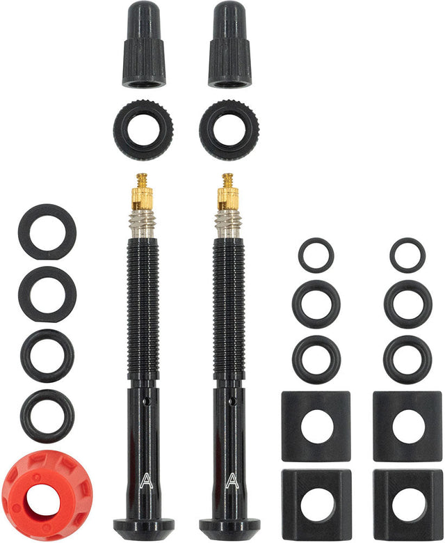 Quarq TyreWiz 2.0 Valve Stem Pack