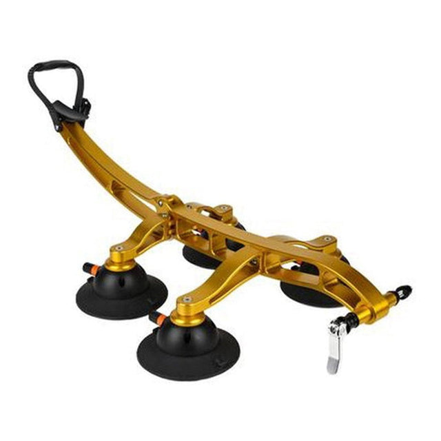 SeaSucker Komodo in gold
