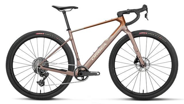 Terra M21eTEAM 1X – Nickel - Met Cinnamon (Matt)
