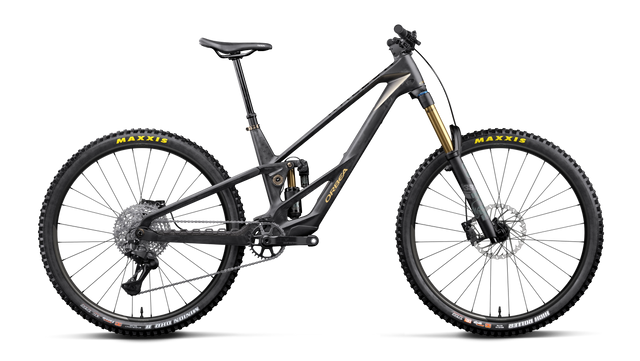 Rallon RS-LTD – Fuel Carbon View - Magic Gold (Matt)