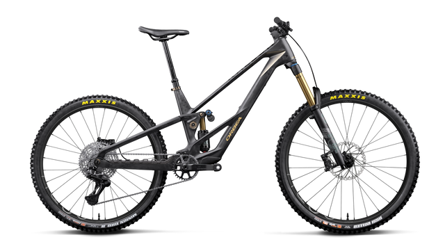 Rallon RS-TEAM Mullet – Fuel Carbon View - Magic Gold (Matt)