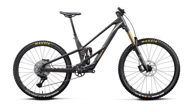 Rallon RS-LTD Mullet – Fuel Carbon View - Magic Gold (Matt)