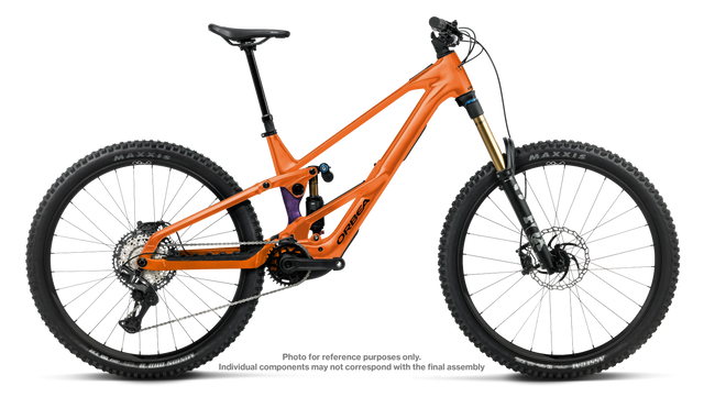 Wild LT H-TEAM Mullet – Wild Orange -Royal Plum (Gloss)