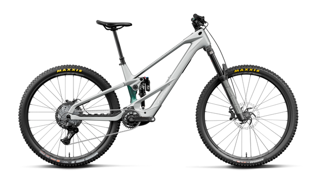 Wild LT M20 – Smooth Silver (Matt) - Escape Green C. View (Gloss)