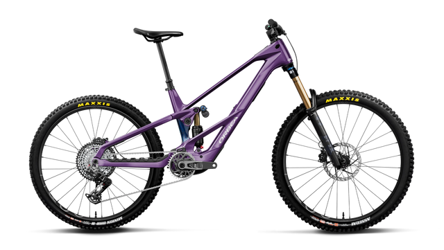 Wild LT M-TEAM RS Mullet – Royal Plum-Noctiluca C.View (Gloss)