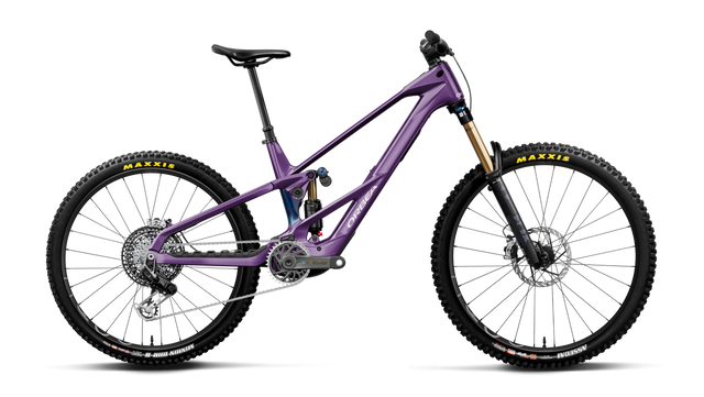 Wild LT M-LTD RS Mullet – Royal Plum-Noctiluca C.View (Gloss)