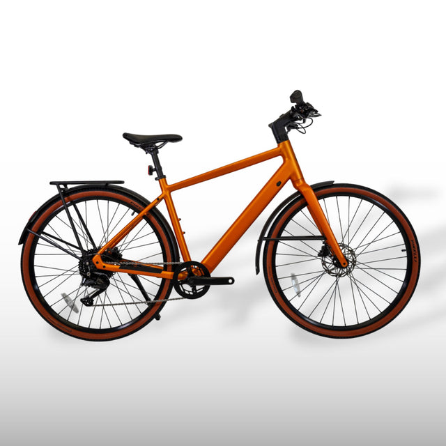 Estarli e28.9 – Bronze, Crossbar