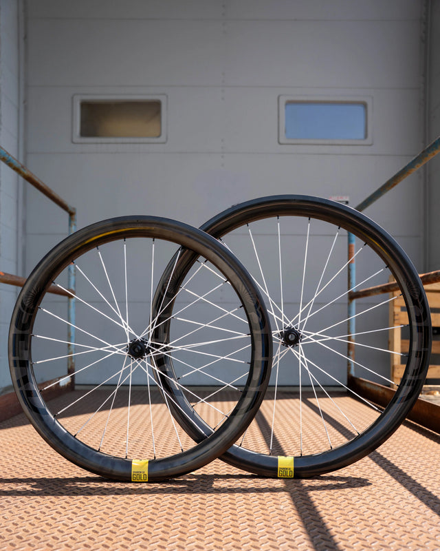 Berd Sparrow50 Gold Carbon Wheels