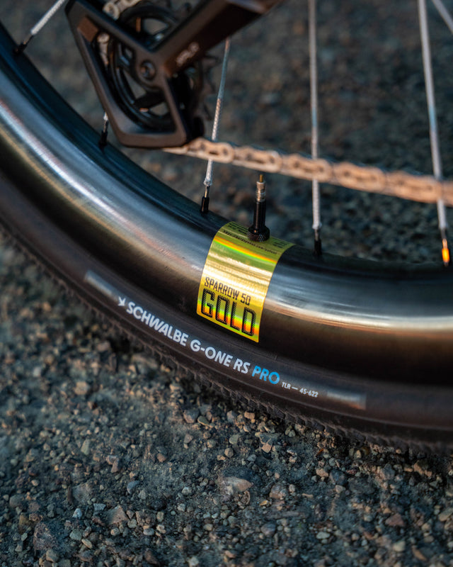 Berd Sparrow50 Gold Carbon Wheels