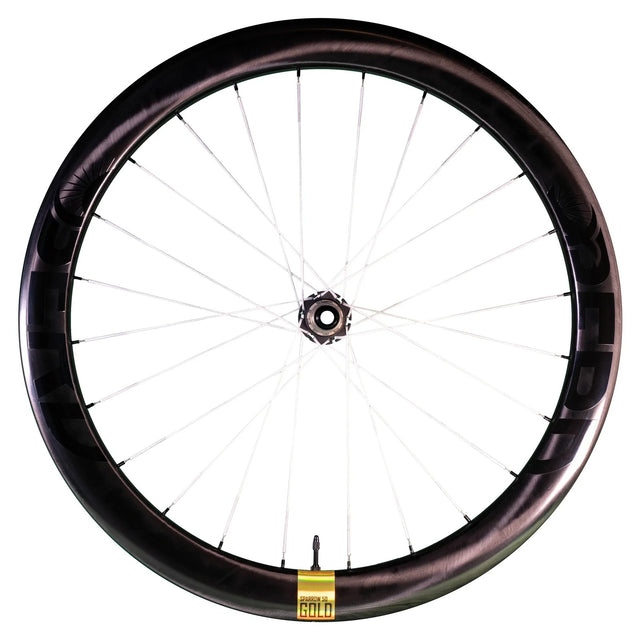 Berd Sparrow50 Gold Carbon Wheels