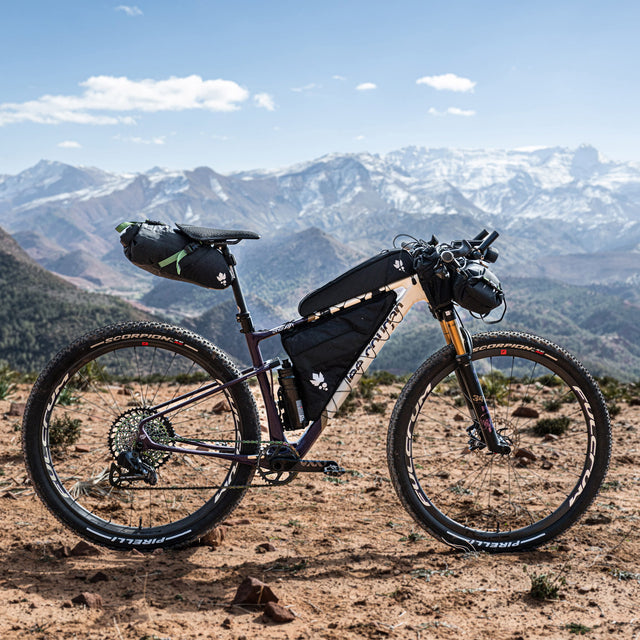 Miss Grape Big Node Strap-Mount Top Tube Bag 1.8L