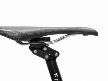 Redshift Dual-Position Seatpost