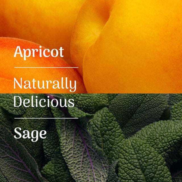 Veloforte Solo Electrolyte Powder - Apricot & Sage