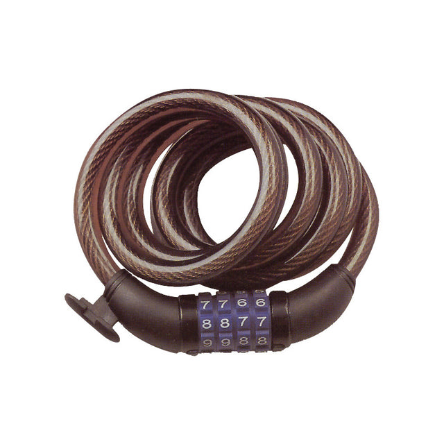 Combination Security Cable